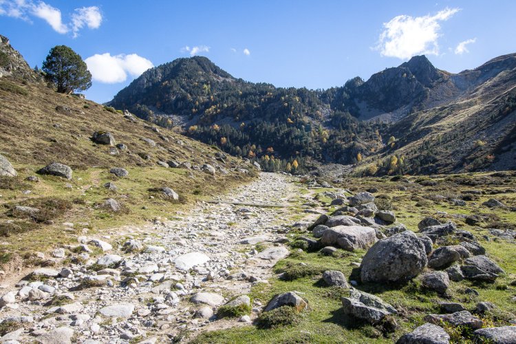 Le sentier est facile au début sur une large piste Le sentier est facile au début sur une large piste