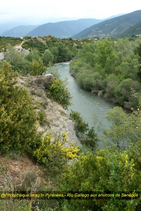 Rio Gallego