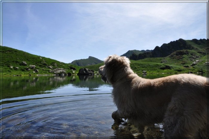 Le lac de Bassias
