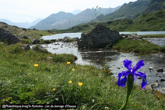 lac du barrage d'Ossoue