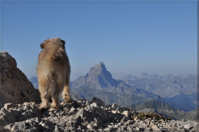 La vue sur Ossau ne laisse personne indiffrent