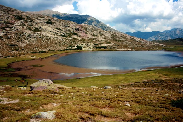 Lac de nino