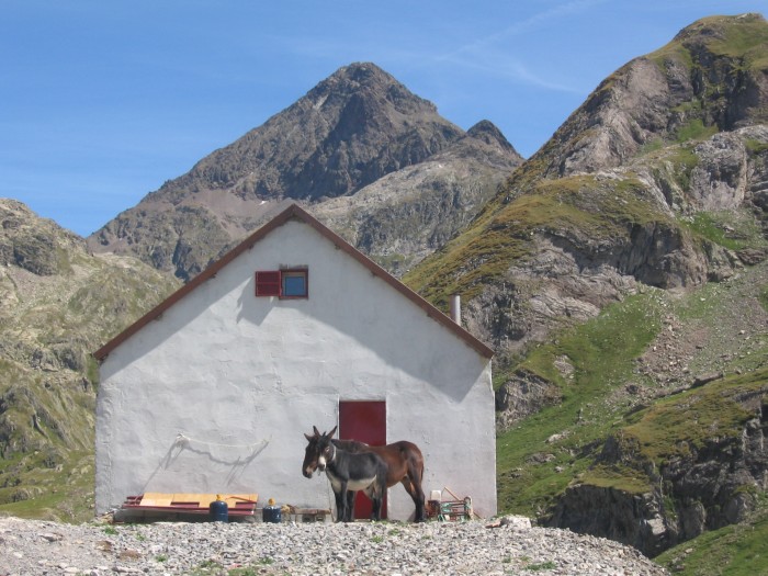 Petite cabane prs du lac