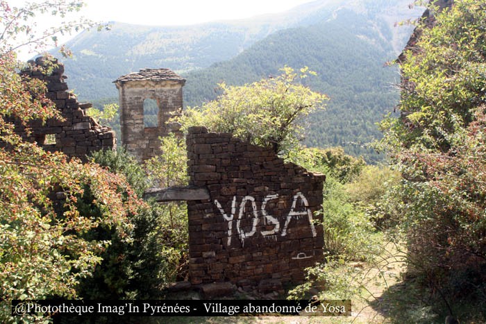 Yosa