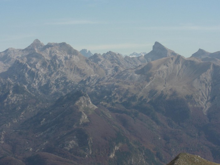 Kartxela