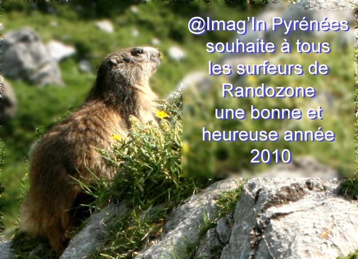 Bonne année 2010 Bonne année 2010