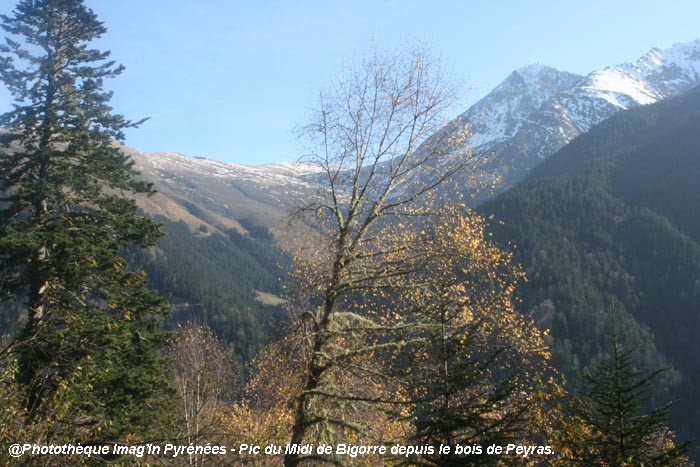 Pic du Midi de Bigorre vu depuis le Bois de Peyras