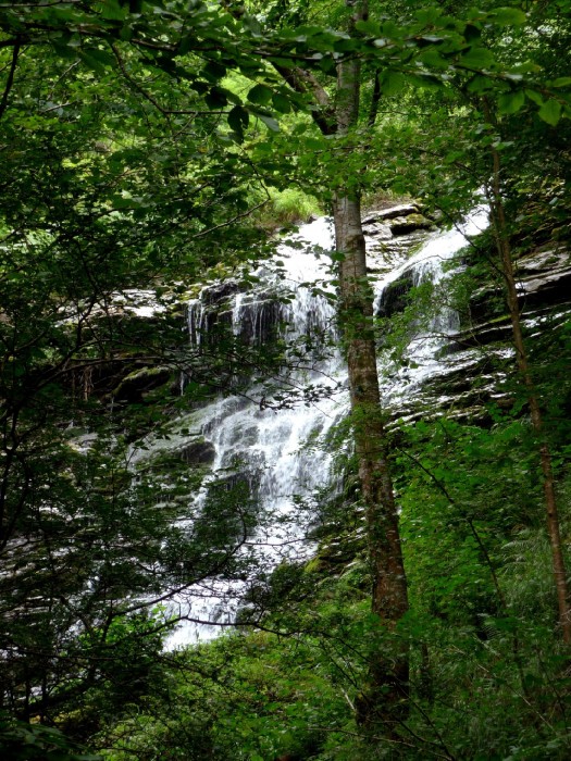 Cascade sur le chemin vers la Passerelle d'Holzart