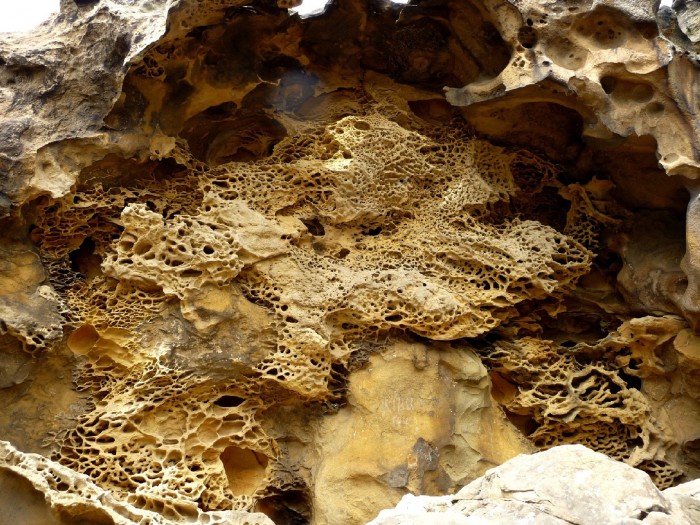 Taffonis grseuses
