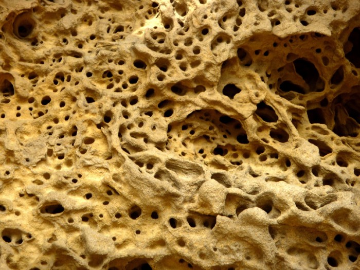 Taffonis gréseuses Taffonis gréseuses