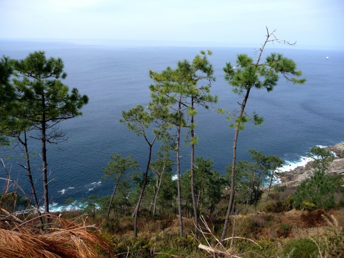 Vue sur la cte