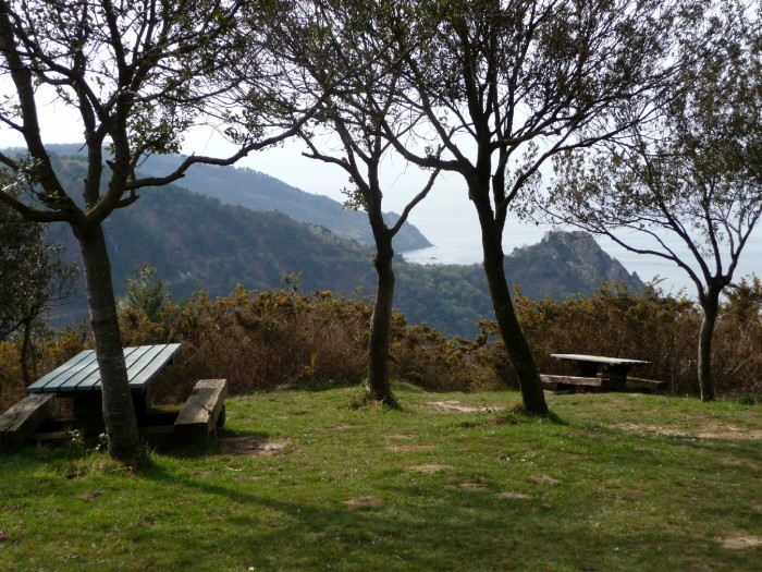 Aire de picnic prs du fort
