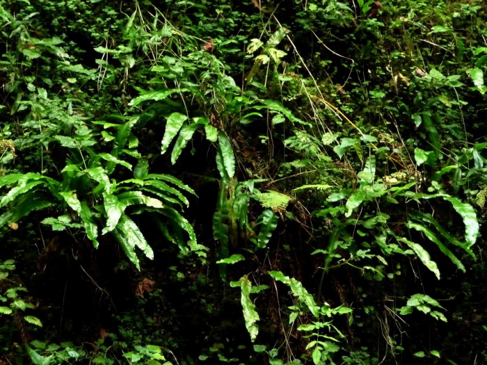 Gorges de Kakuetta