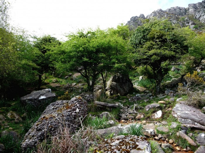 Source sur le flanc de l'Atxuria