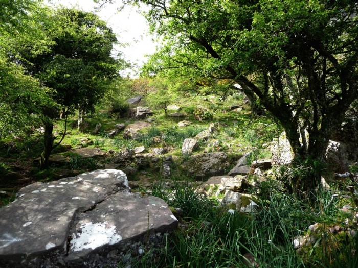 Source sur le flanc de l'Atxuria