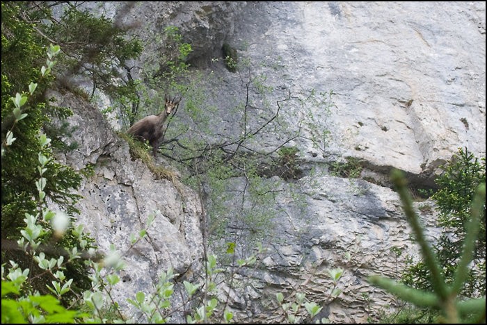 Cirque de Saint Mme - Chartreuse