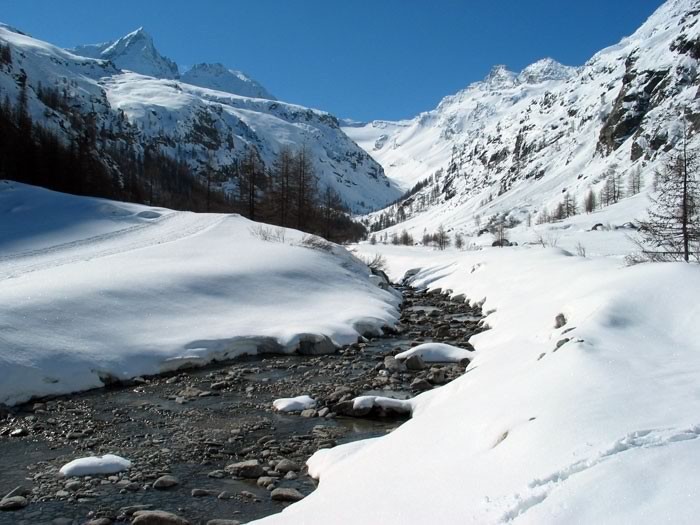 Balade dans le parc du Gran Paradiso 3