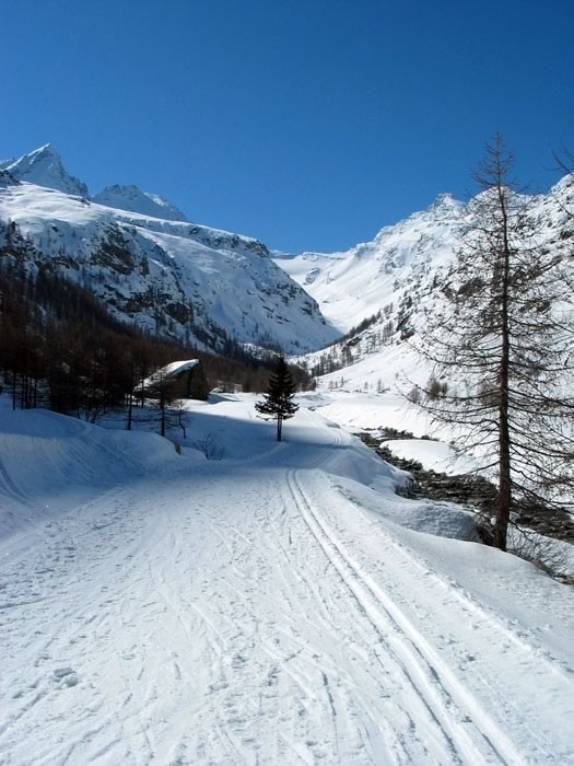 Balade dans le parc du Gran Paradiso 7