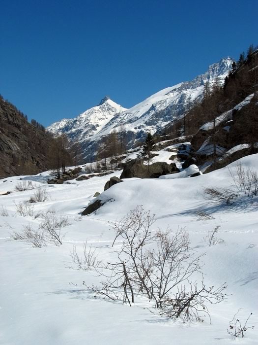 Balade dans le parc du Gran Paradiso 8