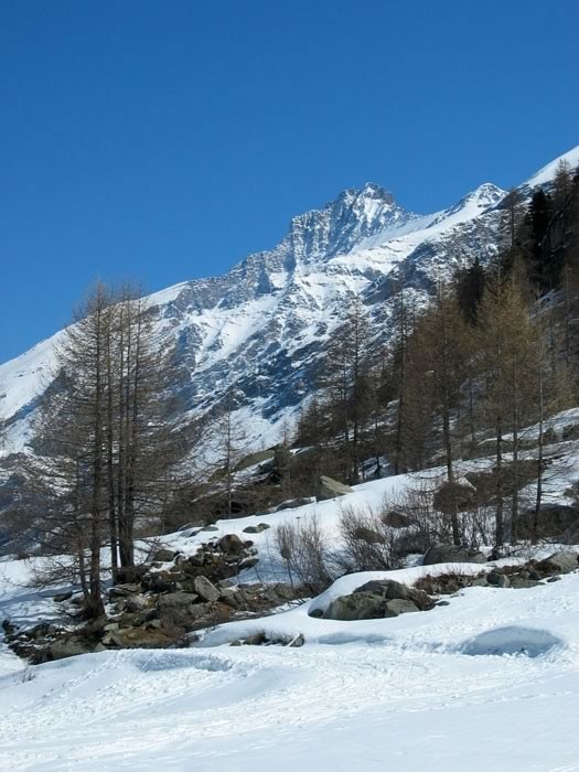 Balade dans le parc du Gran Paradiso 9