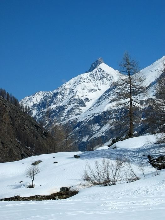 Balade dans le parc du Gran Paradiso 10
