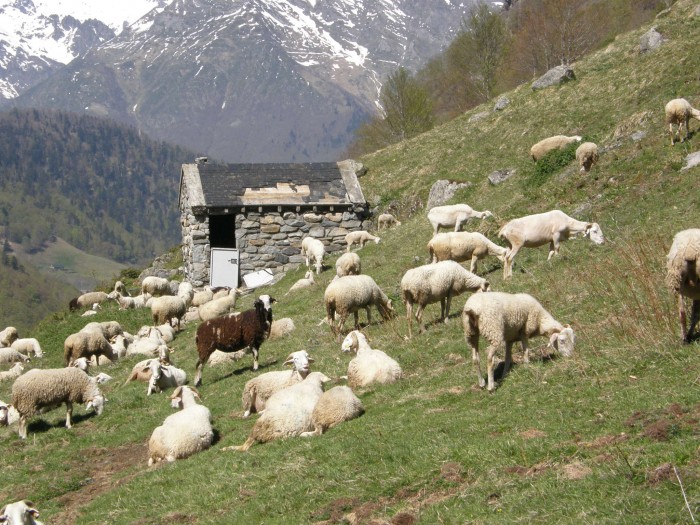 Cabane Matte