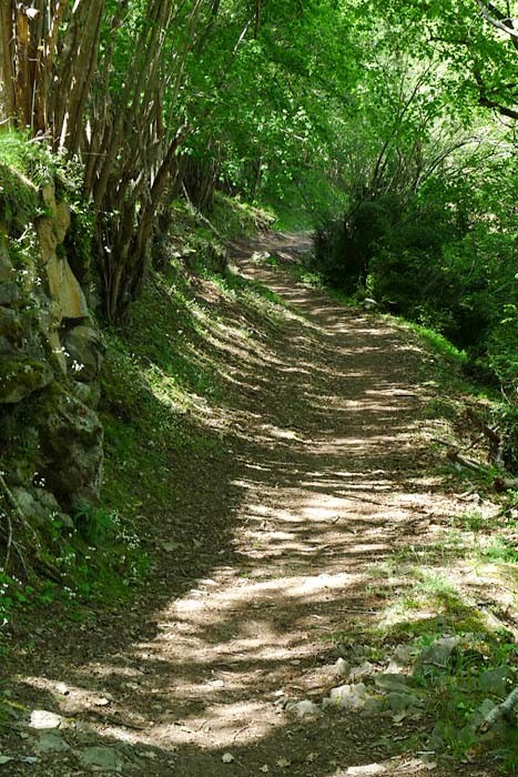 Toujours le sentier