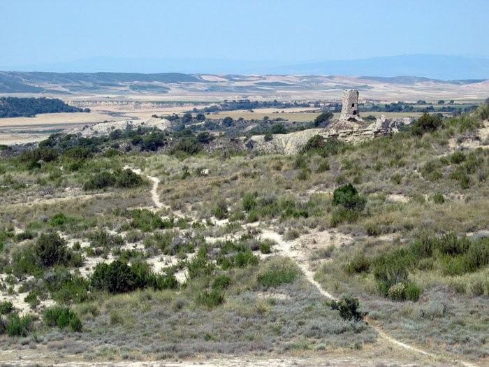 Sentier de VTT dans le dsert des Bardenas Reales
