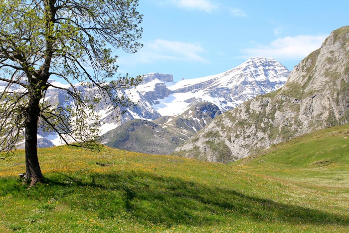 Vue sur le Taillon depuis le plateau de Saugu