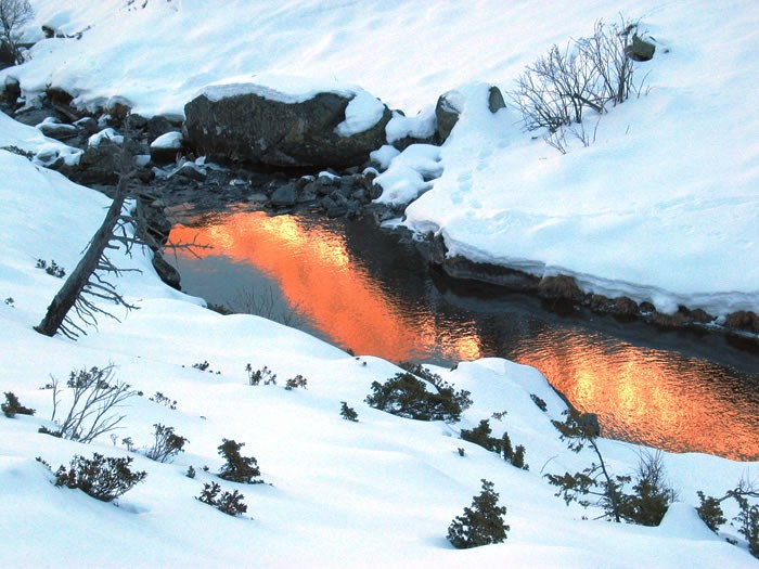 Randonne raquettes au refuge de la Glre - 12