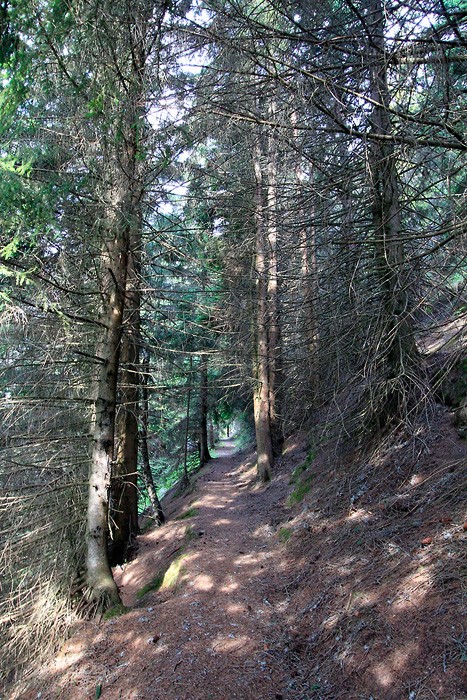 Monte sur la Montagne Fleurie