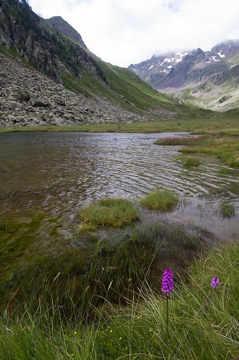 Lac de Cestrde