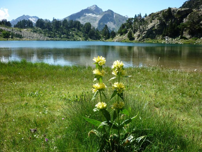 Estany de Besiberri