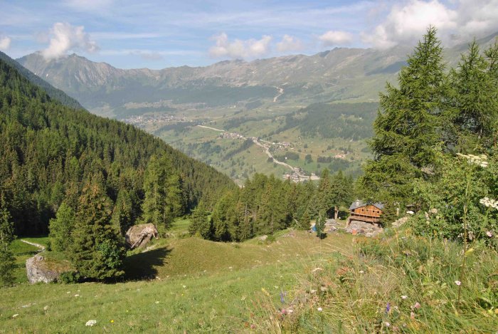 Panorama