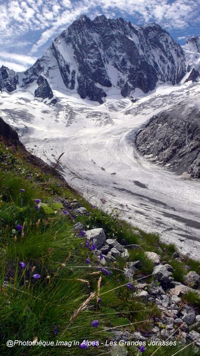 Grandes Jorasses