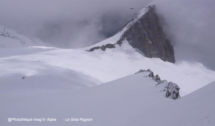 Le Gros Rognon