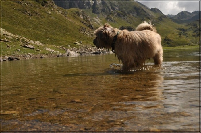Le lac vert