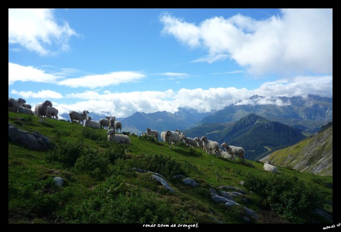 soum de las escures