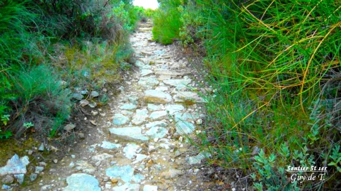 Chemin de la Chapelle ST SER