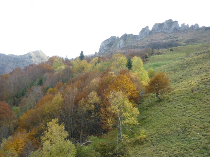 Le Lauriolle