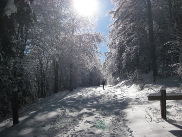 départ col du Minier départ col du Minier