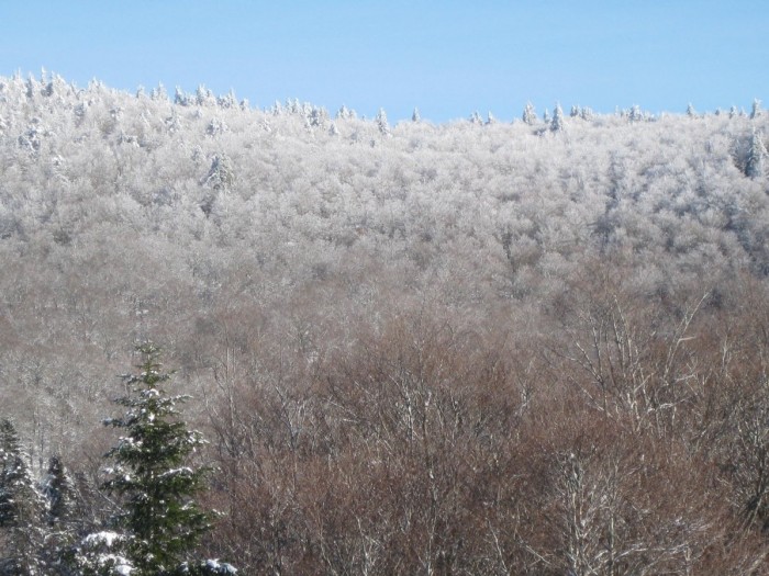 massif de l'Aigoual