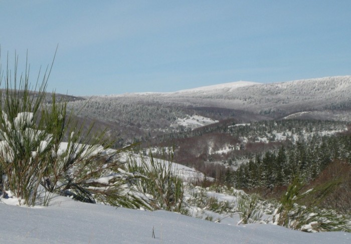 massif de l'Aigoual