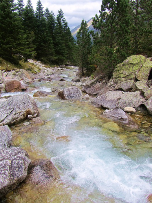 Ruisseau et cascade