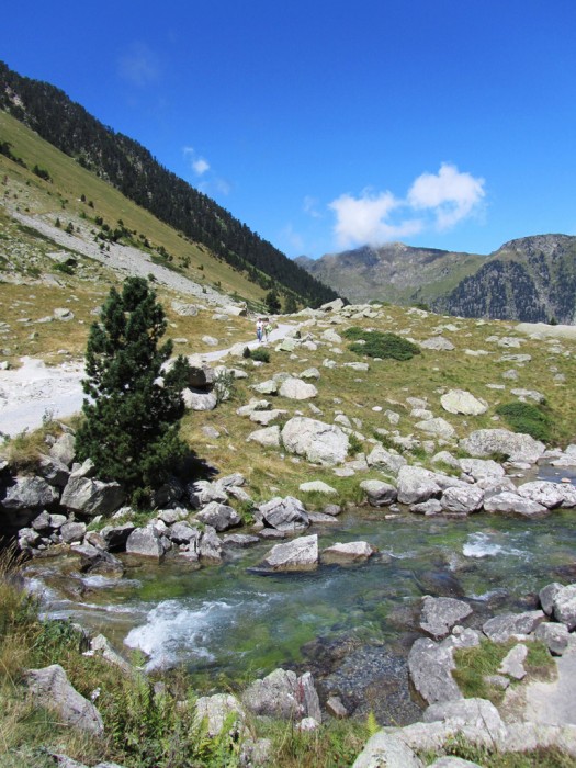 Ruisseau  ct du Lac de Gaube