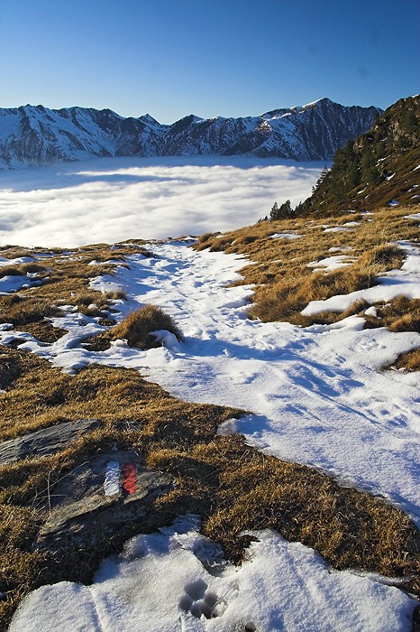 Valle de Cauterets depuis le col de Riou