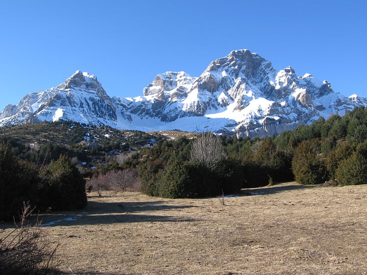 Pena Telera