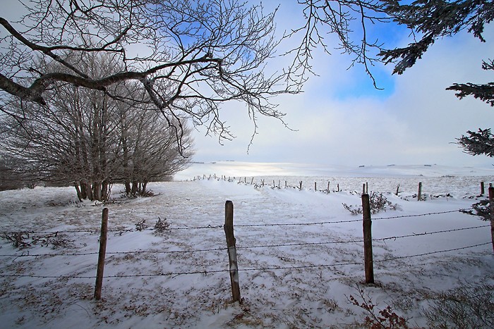 Paysage blanc au plateau de l'Aubrac