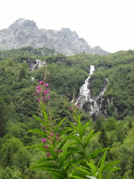 Randonne au Lac de Crop lors de la monte