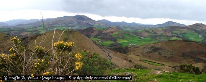 Elzarrutz